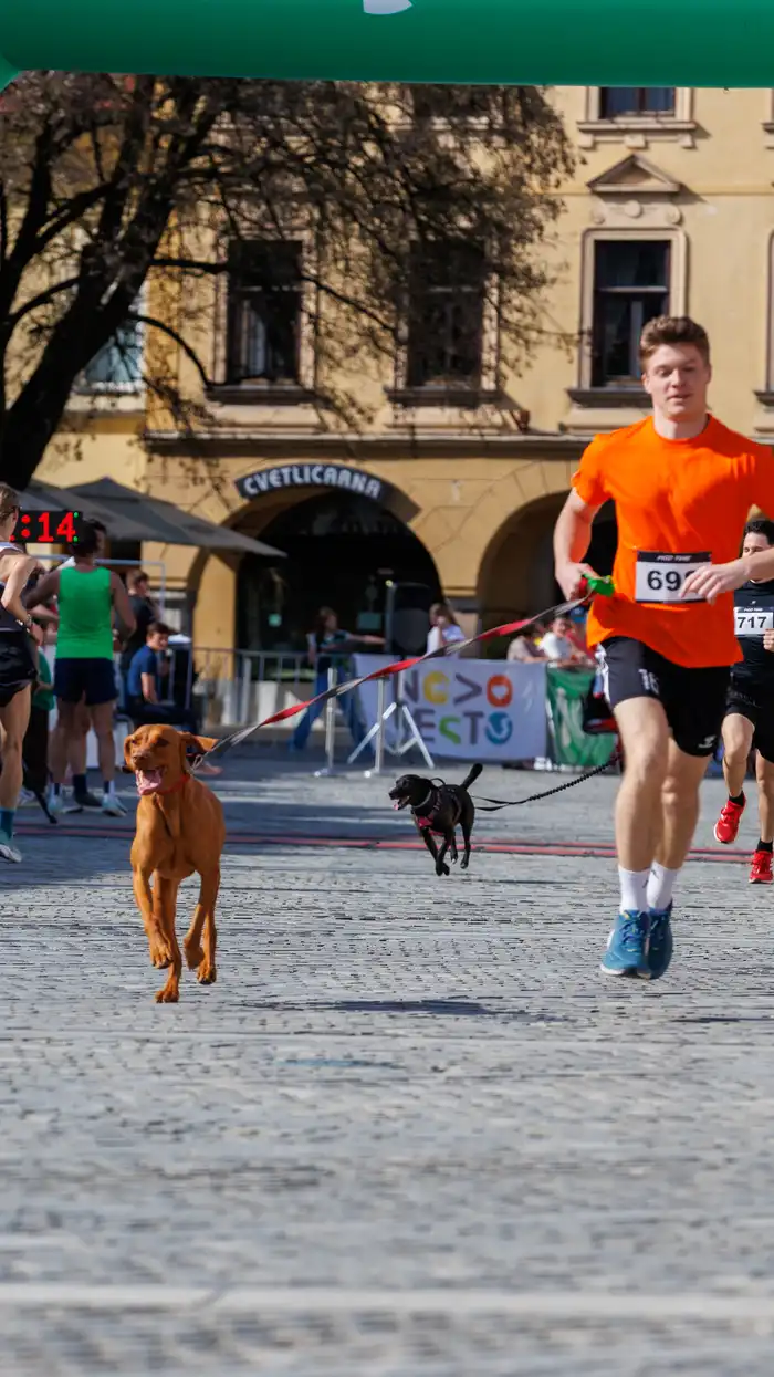 91775665613avtor-Jani-Brajkovič JB_M3019.webp-nm-tek.si